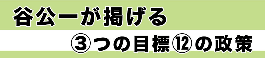 谷議員が掲げる３つの目標１２の政策